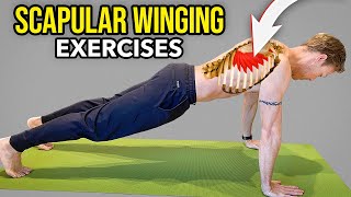 3 Exercises for Scapular Winging Serratus Anterior Muscle Strengthening [upl. by Taro]