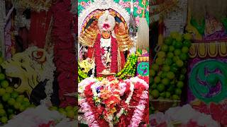 Maa chandra ghanta love balangiri festival balangiria odisha travel balangir sambalpuri [upl. by Einot]