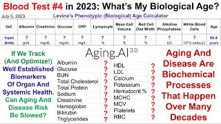 Quantifying Biological Age Blood Test 4 In 2023 [upl. by Lydell270]