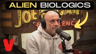 Joe Rogan Asks Diana Walsh Pasulka About UFOs [upl. by Enyt]