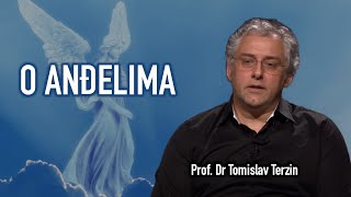 Tomislav Terzin  O ANĐELIMA [upl. by Locklin]