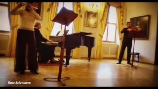 Midday concert at the Lobkowicz palace Prague [upl. by Haduhey646]