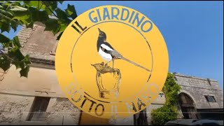 IL GIARDINO SOTTO IL NASOCOME RACCOGLIERE ERBE SPONTANEE E TRASFORMARLE IN COCKTAILE MOLTO ALTRO [upl. by Xirdnek]