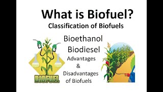 Biofuel  Bioethanol  Biodiesel  Bioethanol production  Biodiesel production  Biofuel production [upl. by Rowena150]