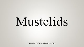 How To Say Mustelids [upl. by Psyche]