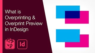 What is Overprinting amp Overprint Preview in InDesign [upl. by Onairda]