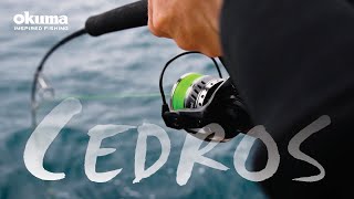 Okuma Cedros Spinning Reels – An Introduction and Overview [upl. by Mannes]