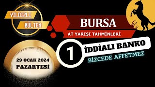 29 Ocak 2024 Pazartesi Bursa At Yarışı Tahminleri [upl. by Ebsen]