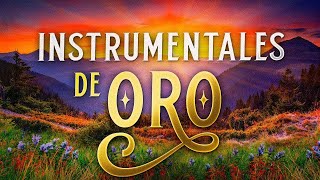 Musica Instrumental de Oro Para Escuchar Grandes Hits Instrumentales [upl. by Ilsel]