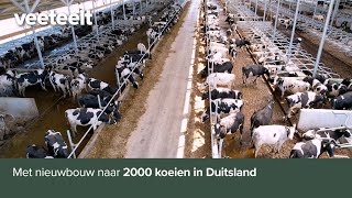 Met nieuwbouw naar 2000 koeien in Duitsland [upl. by Ezalb748]