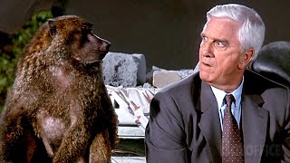 Frank Drebin guida un carro armato in uno zoo  Una pallottola spuntata 2½  Lodore della paura [upl. by Ahsinna]