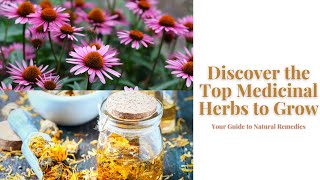 Discover the Top Medicinal Herbs to Grow Your Guide to Natural Remedies [upl. by Aciretahs]