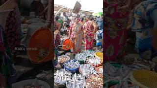 💥Kasimedu fish market 🦈🐬 [upl. by Emilia]