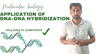 Application of DNA–DNA hybridization UrduHindi by Mushtaq Saqib [upl. by Nahtaneoj]