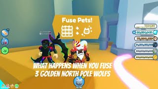 What happens if you fuse 3 Golden North Pole Wolfs PET SIMULATOR X fuse shorts [upl. by Felic]