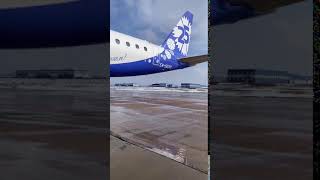 В Беларусь прилетел новый Embraer E195 для quotБелавиаquot [upl. by Naivaj276]