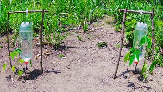 Como HACER RIEGO POR GOTEO CASERO Y AUTOMÁTICO con Botellas de Plástico Reciclado PASO a PASO [upl. by Whitby763]