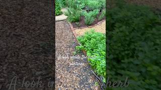 Discover this NC herbgarden parterre heritage nursery your resource for inspiration and plants [upl. by Rede]