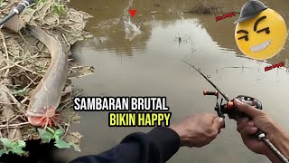 MANTUL SANAK CASTING IKAN GABUS HARUAN DI BULAN ROMADHON BIKIN HAPPY [upl. by Ednalrim]