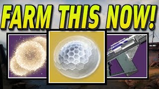 START DOING THIS NOW FAST amp EASY Ascendant Shards Bright Dust amp Exotics Farming Destiny 2 [upl. by Rawdin]