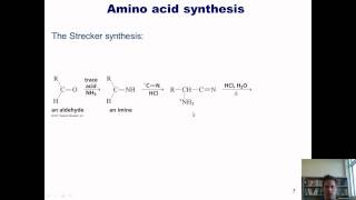 Chapter 23 – Protein Chemistry Part 3 of 4 [upl. by Esilehs]