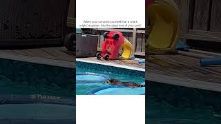 Hilarious Raccoon Plays in Pool [upl. by Ayote770]