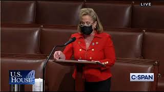 Congresswoman Ann Wagner Speaks on the ERA [upl. by Corneille]