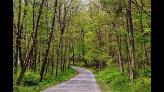 County Line Road Lawrence County Pa Spring 2023 [upl. by Annas]