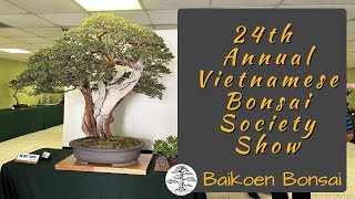 24th Annual Vietnamese Bonsai Society 2023 Show  Baikoen Bonsai Club  Bonsai Exhibition [upl. by Holmann]