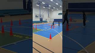 Fun PE game What skills do you think this game teaches students pegames physed eğitseloyun [upl. by Inna]