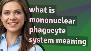 Mononuclear phagocyte system  meaning of Mononuclear phagocyte system [upl. by Ethel]