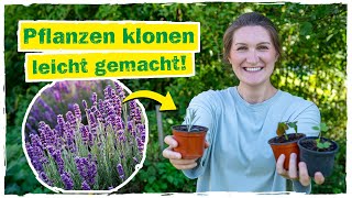 VEGETATIVE VERMEHRUNG Pflanzen über Pflanzenteile vermehren🌱 [upl. by Alysia56]