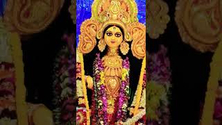 Baranagar Netajicolony Colony Market erJagodhatri puja 2024 baranagar shortvedioviralvideo [upl. by Shela685]