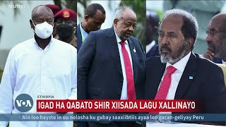 Itoobiya oo IGAD ka dalbatay shir ku saabsan xiisadda Soomaaliya [upl. by Lola]