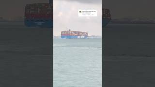 Merchant Navy 🛳️ m kitni companies k ship hai 🤔 ship travel [upl. by Dnalevelc]