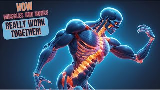 How Muscles and Bones Really Work Together [upl. by Eneladgam]