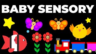 BABY SENSORY  High Contrast Baby Video amp Music For Baby Brain Development [upl. by Ahkos]