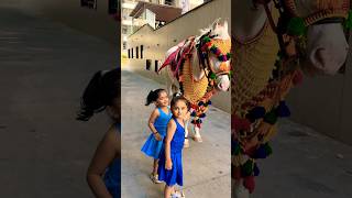 Horse video 🐎  horse horses ghoda cutebaby ytshorts viral trending shortsfeed ytvideo [upl. by Eillod645]