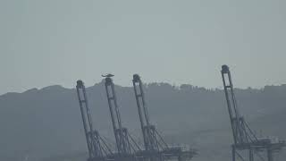 Helicopter Flying over The Strait of Gibraltar 15 May 2024 [upl. by Adnilreh180]