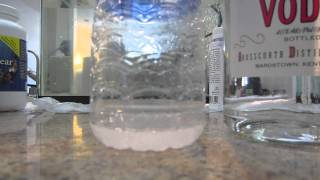 Mixing Praziquantel Powder with Vodka to deworm Aquarium Fish [upl. by Silirama913]