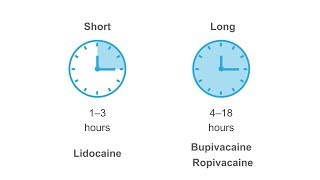 Getting familiar with anesthetics [upl. by Lemcke]