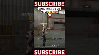 විපතක්නෙ වුනෙ😂😂 ප්‍රො අයියලා දෙන්නට💔😂 subscribe plz❣️ SL SAVI FF freefire sinhala freefireshorts [upl. by Merna192]