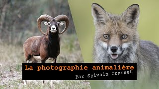 Réussir ses photos ANIMALIÈRES [upl. by Milano]