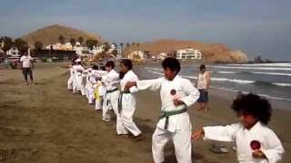 karate Seibukan Cañete Perú verano 2014 [upl. by Sklar568]