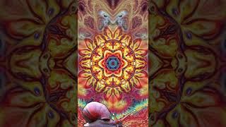 Widespread Panic  Blue Indian Shorts MindEyeExperience KaleidoscopeArt Psychedelic [upl. by Eitsud372]