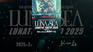 LUNATIC TOKYO 2025  黒服限定GIG  shorts lunasea ルナシー 東京ドーム tokyo tokyodome rock [upl. by Larcher23]