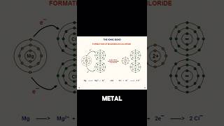 Difference between Covalent and Ionic bond Chemical Bonding shorts ytshorts science chemistry [upl. by Yeclek]