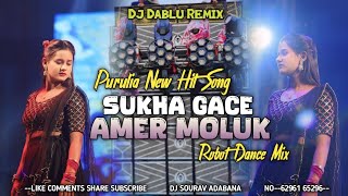 𝘿𝙅 𝙎𝘼𝙍𝙕𝙀𝙉 𝙋𝙀𝙍𝙎𝙊𝙉𝘼𝙇 𝙎𝙊𝙉𝙂❗Purulia New Hit Song❗ Sukha Gace Amer Moluk❗Robot Dance Mix❗Dj Dablu [upl. by Johanna]