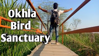 Okhla Bird Sanctuary Trek  Noida  Full expedition  Walking Tour  Yamuna River [upl. by Aloin]