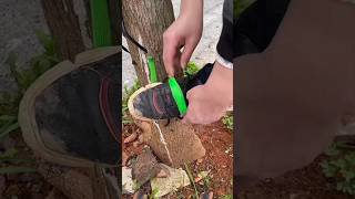 पेड़ पे चढ़ने वाला ये गैजेट shorts nature food trending funny gadgets tiktok reels diy [upl. by Rea]